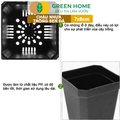 Bộ 10 Chậu Nhựa Trồng Sen Đá Greenhome, 7x8cm, Siêu Bền, Đẹp, Đa Năng, Trồng Mọi Loại Cây, Tiết Kiệm Không Gian