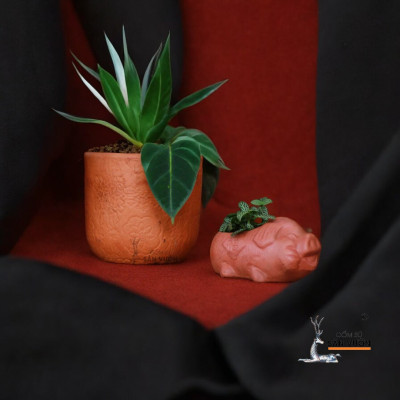 Chậu Gốm Đất Nung Hình chú Heo Con Mini