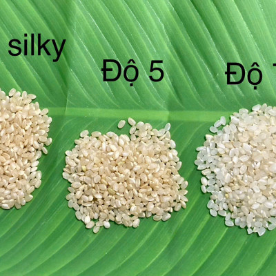 GẠO GIỐNG NHẬT MANPUKU MARU - GẠO TRẮNG - GẠO XÁT DỐI- 2KG