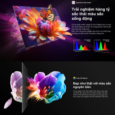 Smart Tivi Toshiba QLED 55 inch 55M450NP, Giao Hàng Toàn Quốc - Hàng Chính Hãng