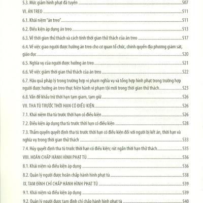 Giáo Trình Luật Hình Sự Việt Nam (Phần Chung) - GS. TSKH. Lê Văn Cảm, PGS. TS. Trịnh Tiến Việt - Tái bản, có sửa đổi bổ sung - (bìa mềm)