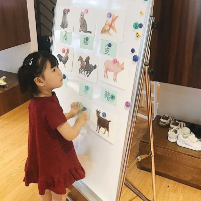 BẢNG FLIPCHART VIẾT BÚT LÔNG TỪ LAMINATE CHÂN INOX KT 100x120cm