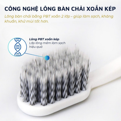 Bộ 2 bàn chải đánh răng Raoyi R7688 DandiHome chuyên bảo vệ nướu