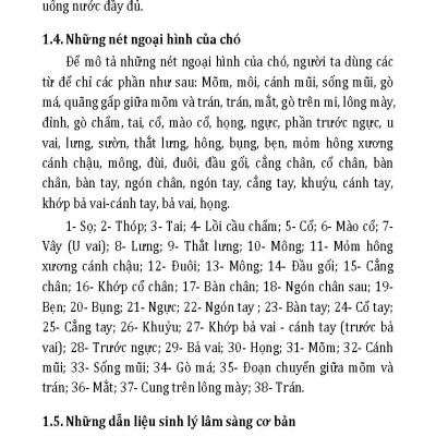 Nuôi Chó Mèo Và Nguy Cơ Lây Nhiễm Bệnh Từ Chó Mèo (Tái bản 2025)