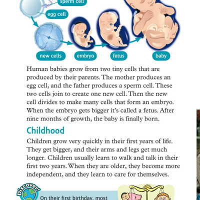 Oxford Read and Discover 6 Your Amazing Body