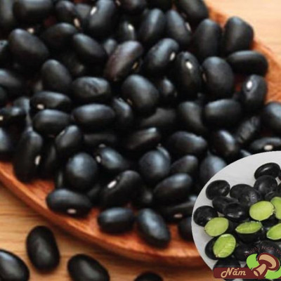 Hạt Đậu Đen Đỗ Đen Bắc Xanh Lòng Lý Tưởng 400g
