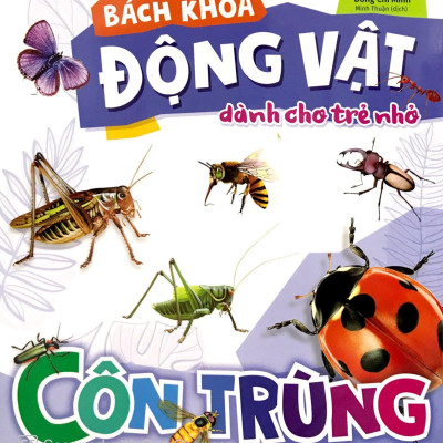 Bách Khoa Động Vật Dành Cho Trẻ Nhỏ - Côn Trùng