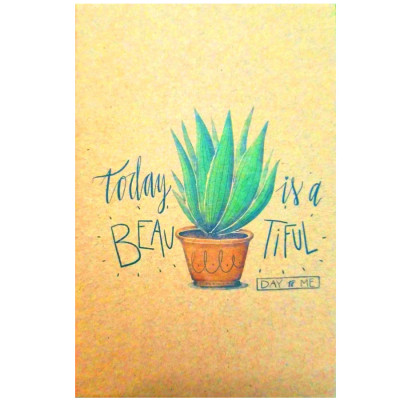 Combo Những Người Đẹp Say Ngủ và Hồ ( Tặng Kèm Sổ Tay Xương Rồng)