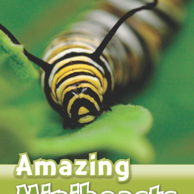 Oxford Read and Discover 3 Amazing Minibeasts