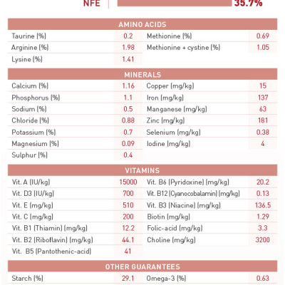  Hạt Royal Canin Cho Mèo Trưởng Thành Fit 32