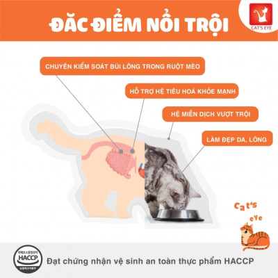 [1KG] - Thức ăn hạt cho mèo mọi lứa tuổi Tuổi Cat